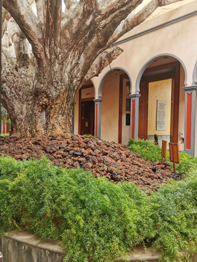 Habitacion Con Bano Privado Gáldar Kültér fotó
